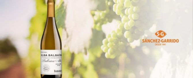 Alba Balbaína, el vino blanco ecológico de Barbadillo